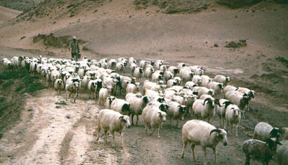 探寻塞外江南的瑰丽之旅，走进神秘宁夏