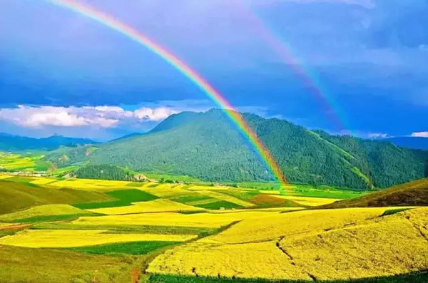 高原绿韵，青海——绿色明珠的播音稿篇章